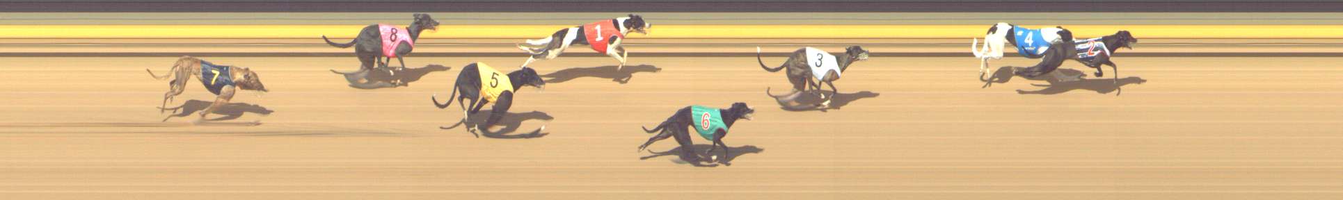 Photo finish for Shepparton Race 13