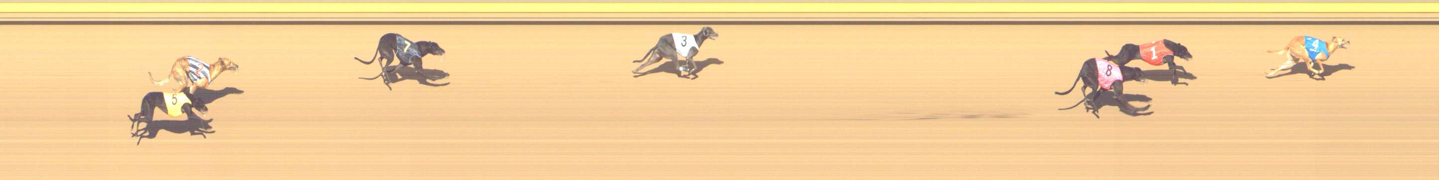 Photo finish for Shepparton Race 14