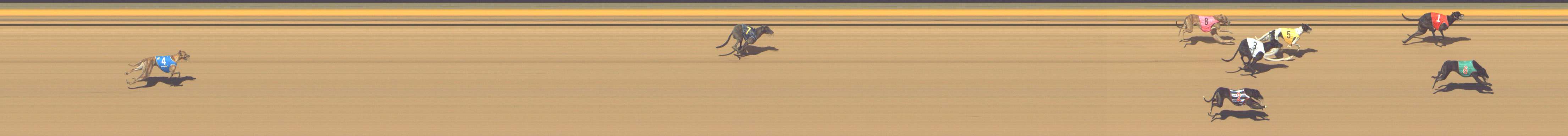 Photo finish for Shepparton Race 1