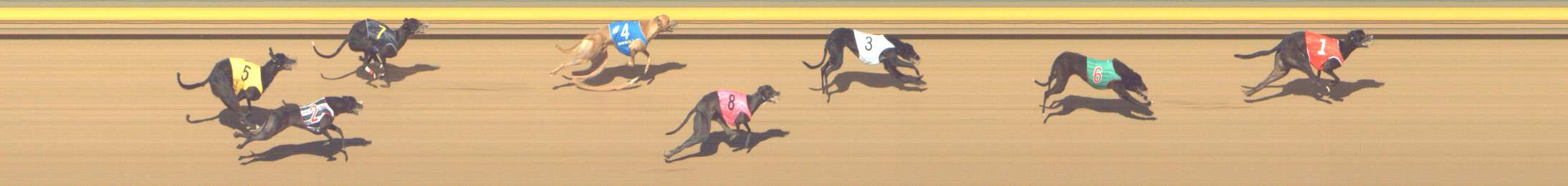 Photo finish for Shepparton Race 2