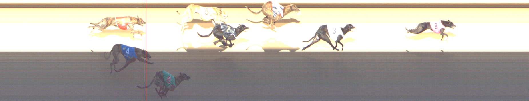 Photo finish for Shepparton Race 5