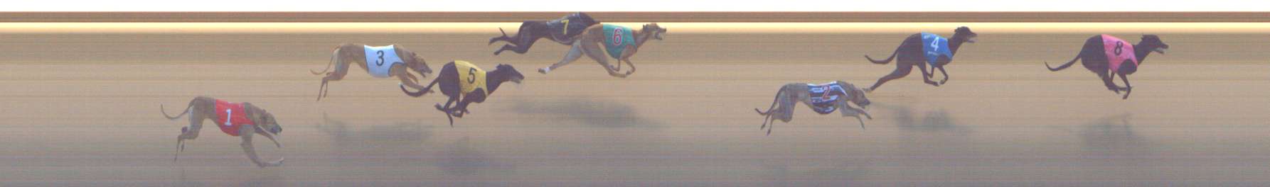 Photo finish for Shepparton Race 6
