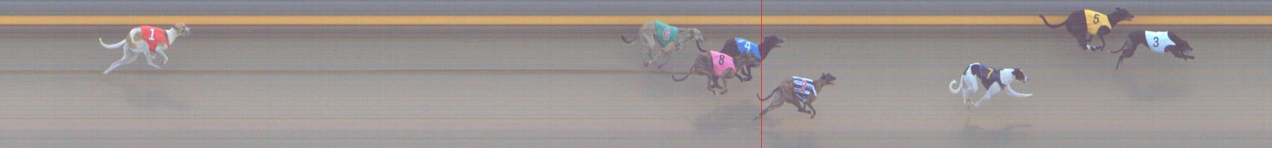 Photo finish for Shepparton Race 7