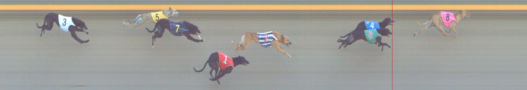 Photo finish for Shepparton Race 8