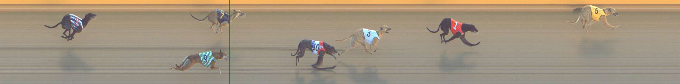 Photo finish for Shepparton Race 9