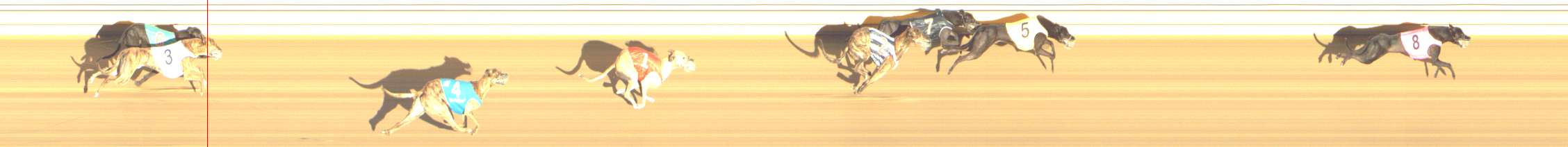 Photo finish for Shepparton Race 10