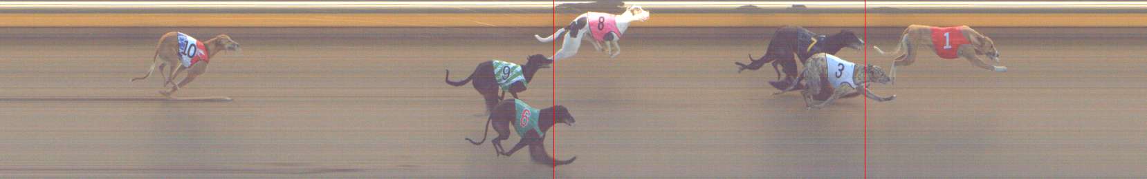 Photo finish for Shepparton Race 12