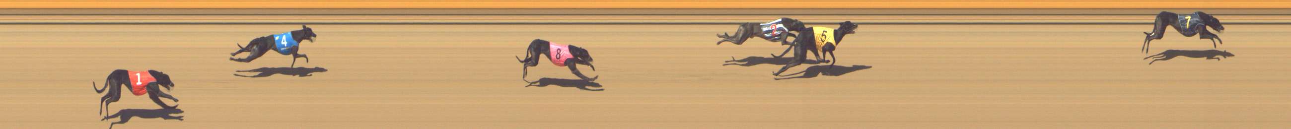 Photo finish for Shepparton Race 1