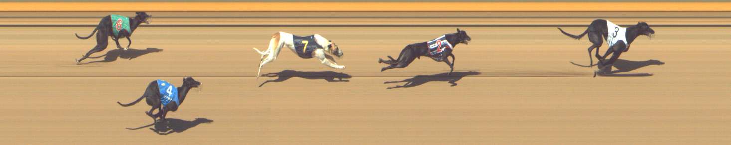 Photo finish for Shepparton Race 2