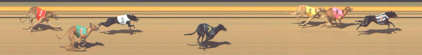 Photo finish for Shepparton Race 3