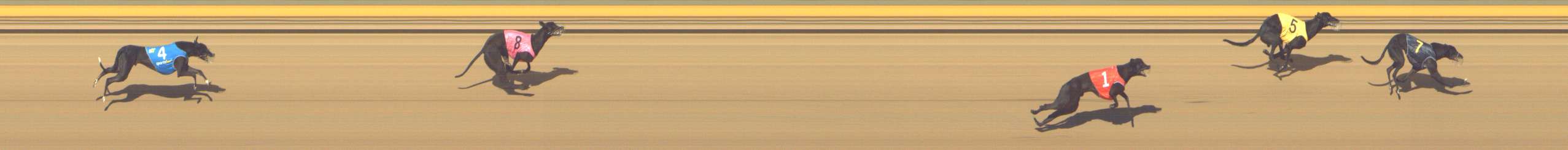 Photo finish for Shepparton Race 4