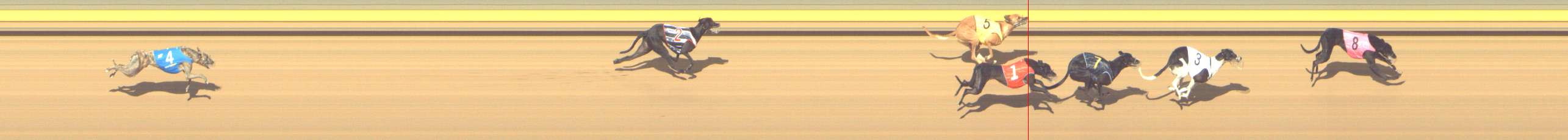 Photo finish for Shepparton Race 5