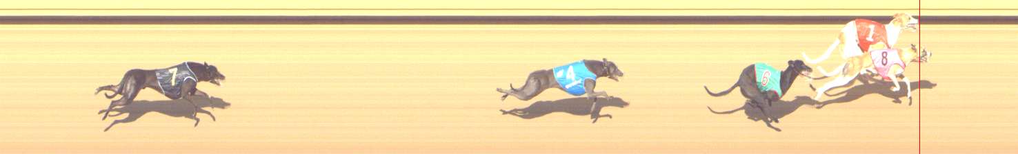Photo finish for Shepparton Race 6