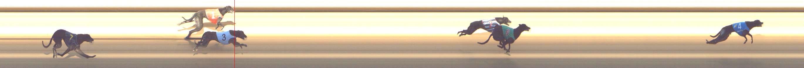 Photo finish for Shepparton Race 7
