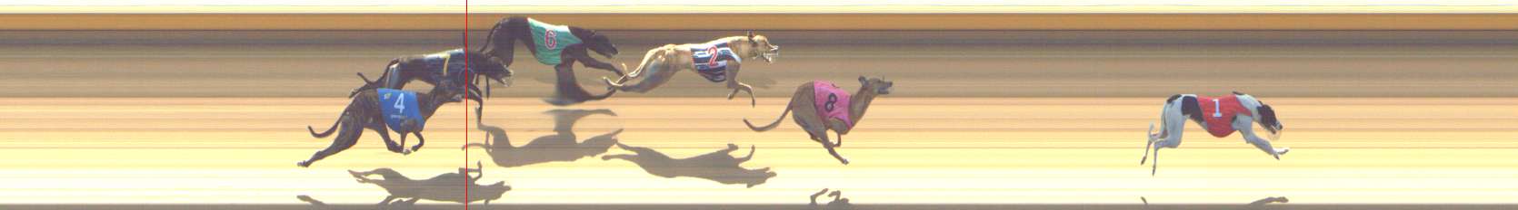 Photo finish for Shepparton Race 8