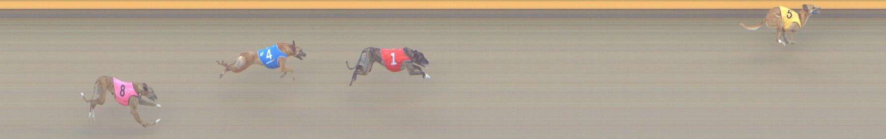 Photo finish for Shepparton Race 9