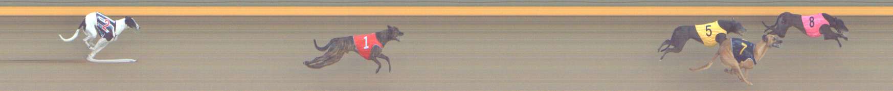 Photo finish for Shepparton Race 10