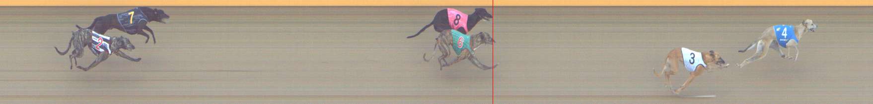 Photo finish for Shepparton Race 11