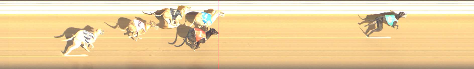 Photo finish for Shepparton Race 12