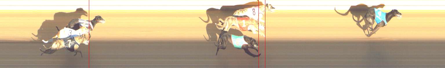Photo finish for Shepparton Race 13