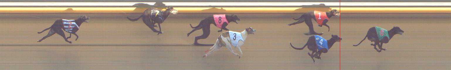 Photo finish for Shepparton Race 14