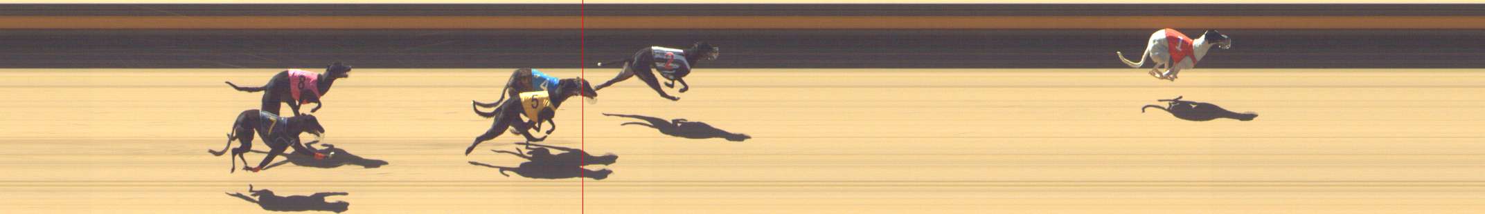 Photo finish for Shepparton Race 1