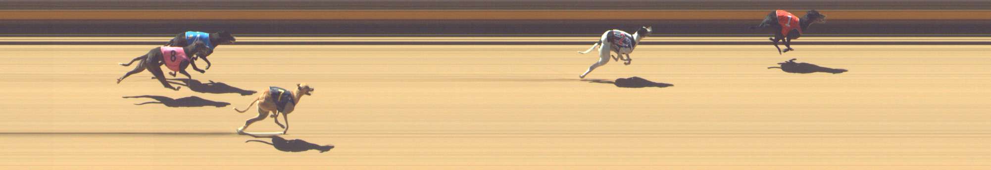 Photo finish for Shepparton Race 3