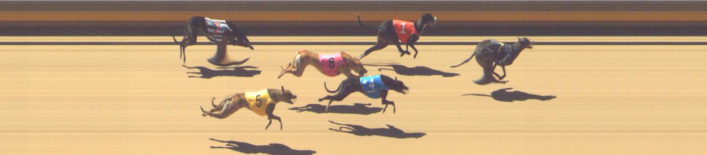 Photo finish for Shepparton Race 4