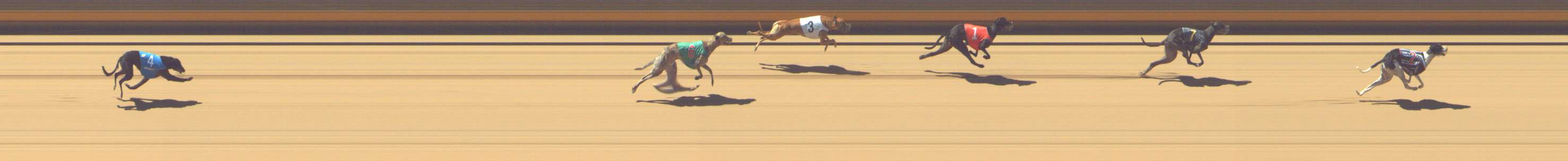 Photo finish for Shepparton Race 5