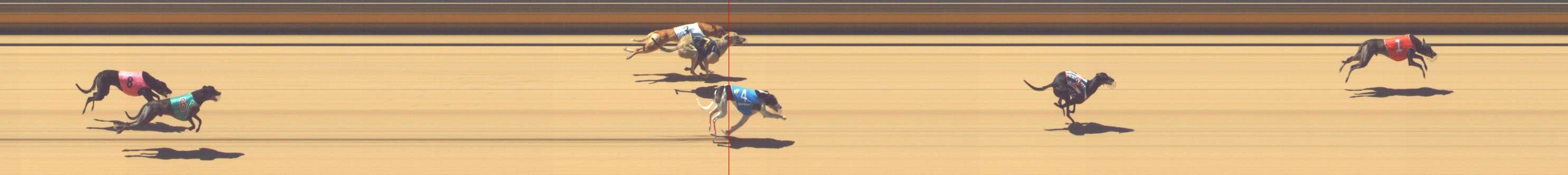 Photo finish for Shepparton Race 6