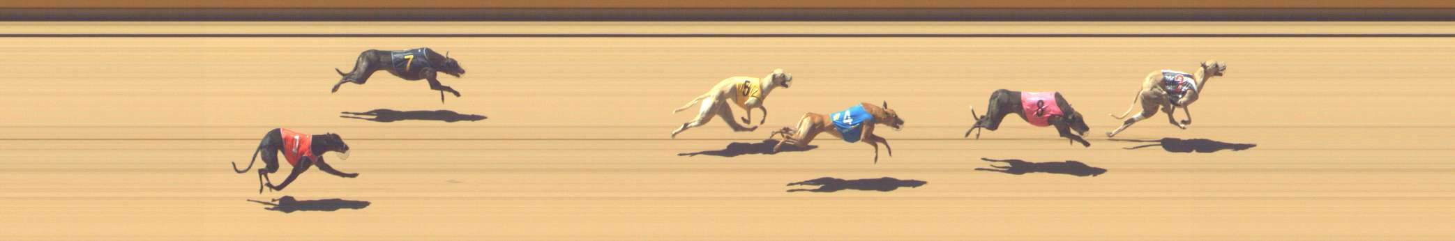 Photo finish for Shepparton Race 7