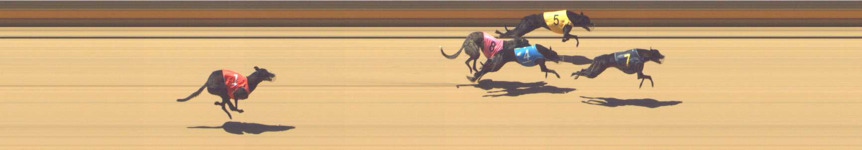 Photo finish for Shepparton Race 8