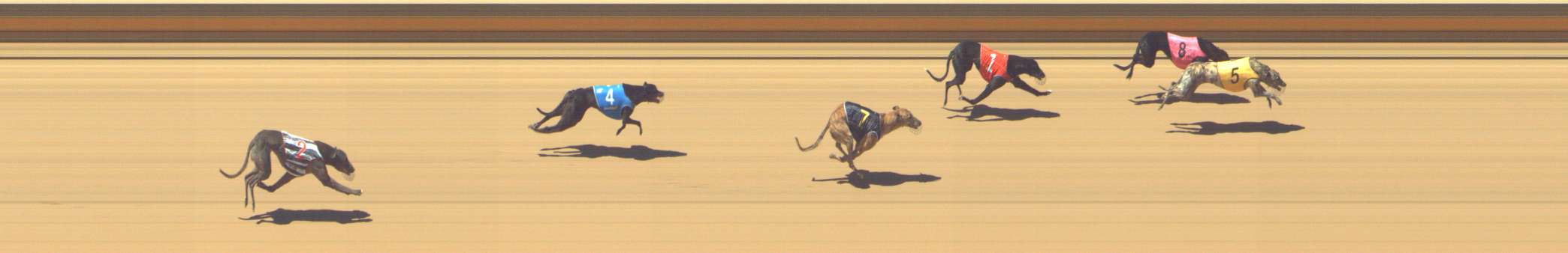Photo finish for Shepparton Race 9