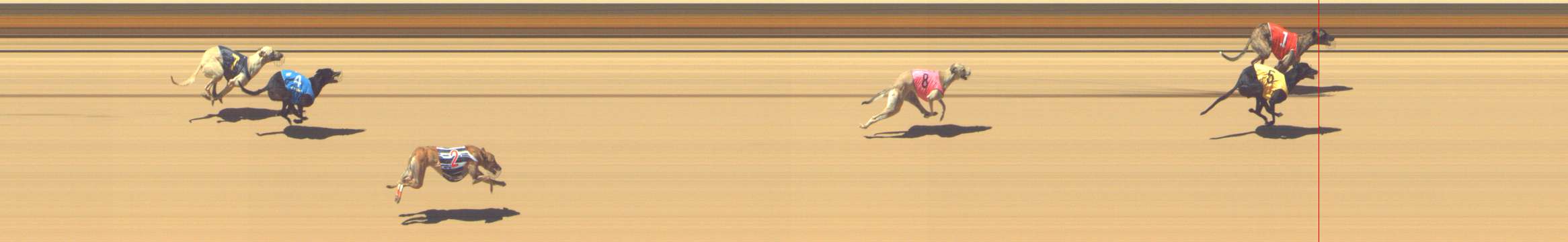 Photo finish for Shepparton Race 10