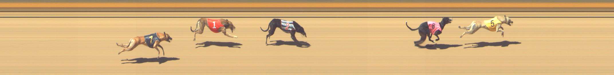 Photo finish for Shepparton Race 11