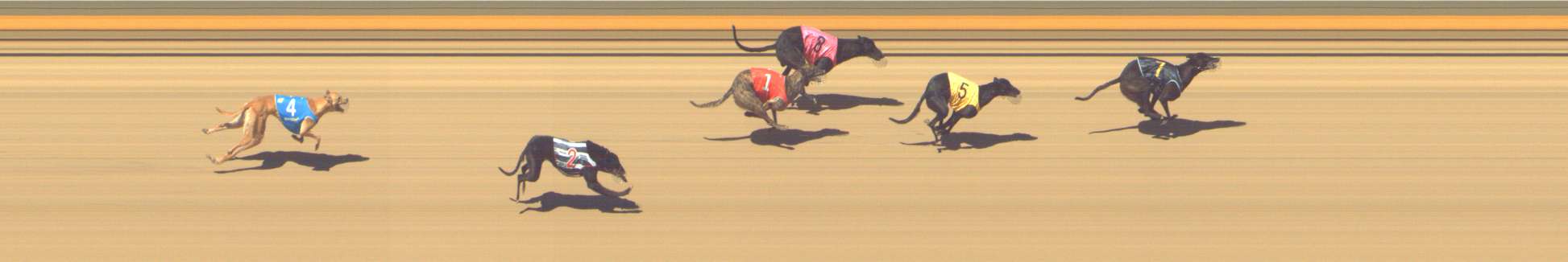 Photo finish for Shepparton Race 12