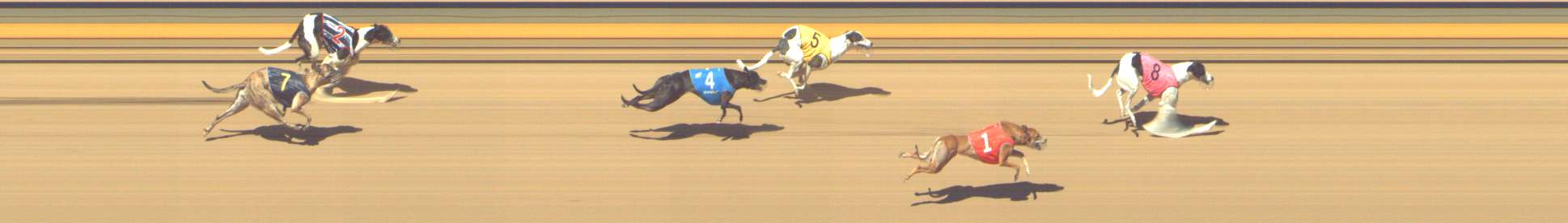 Photo finish for Shepparton Race 13