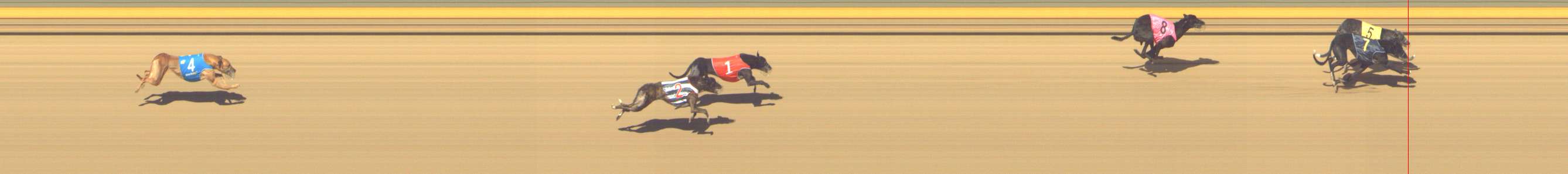 Photo finish for Shepparton Race 14