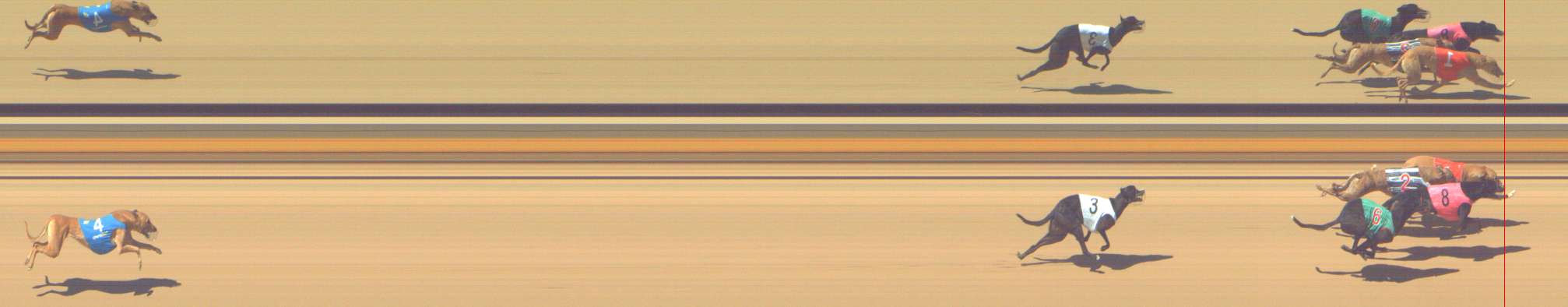Photo finish for Shepparton Race 1