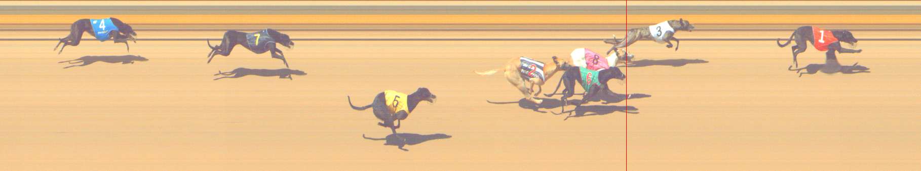 Photo finish for Shepparton Race 2