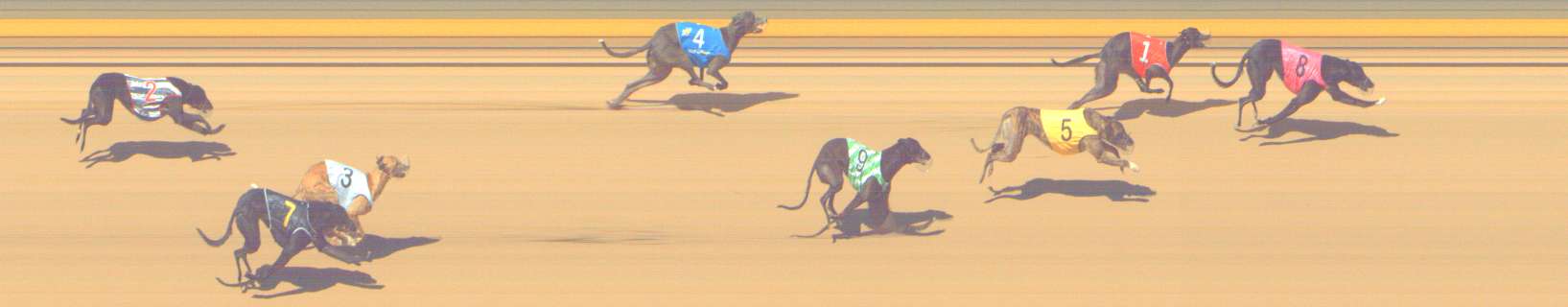 Photo finish for Shepparton Race 3