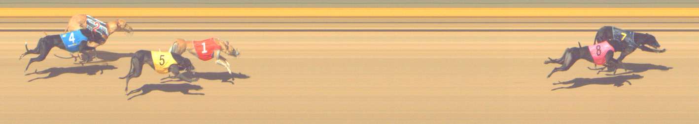 Photo finish for Shepparton Race 4