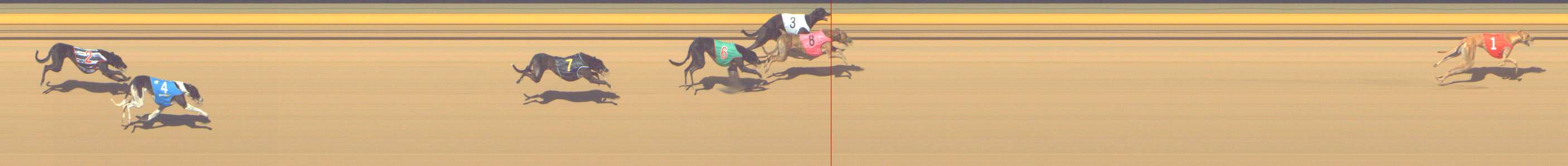 Photo finish for Shepparton Race 5