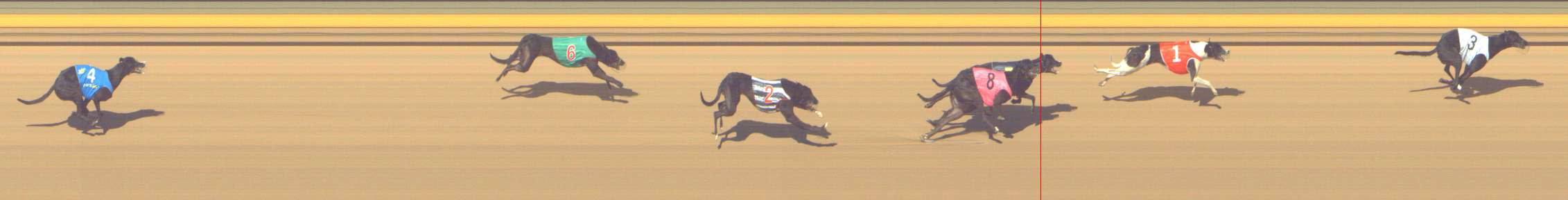 Photo finish for Shepparton Race 6