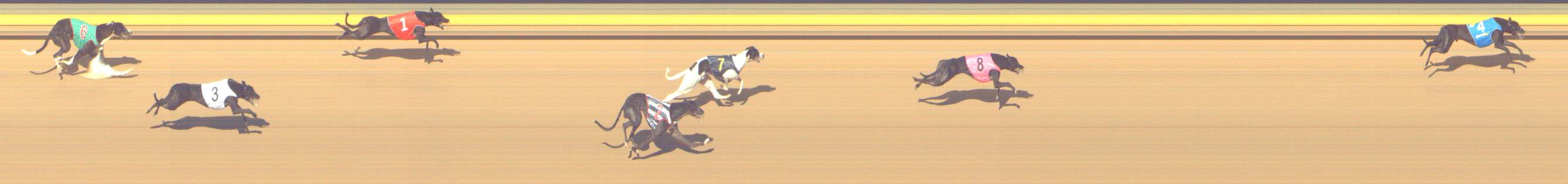 Photo finish for Shepparton Race 7