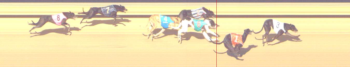 Photo finish for Shepparton Race 8