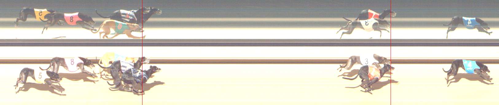 Photo finish for Shepparton Race 9