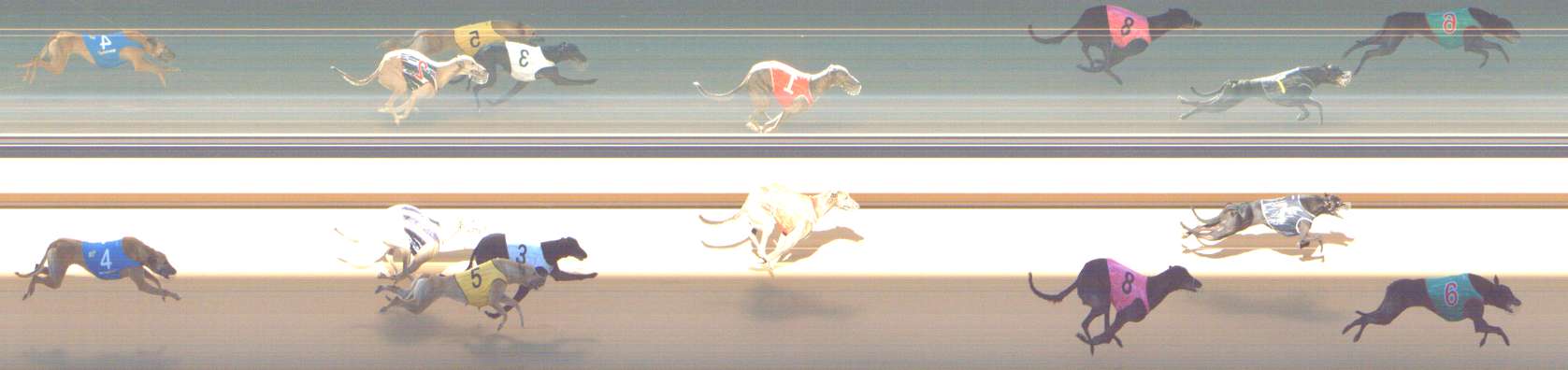 Photo finish for Shepparton Race 10