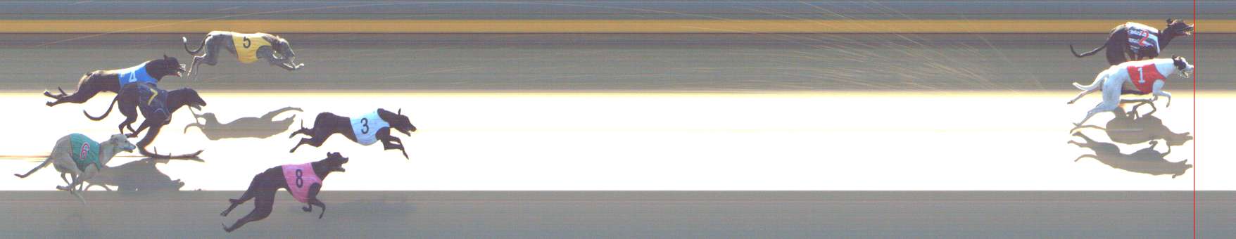 Photo finish for Shepparton Race 11