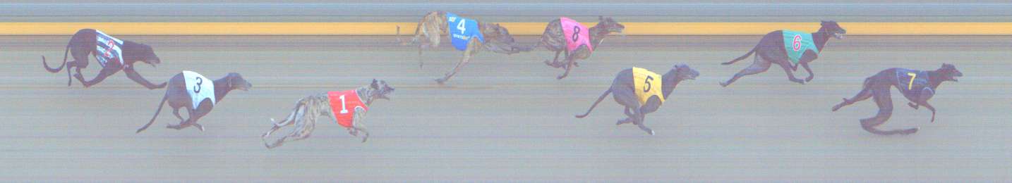 Photo finish for Shepparton Race 12